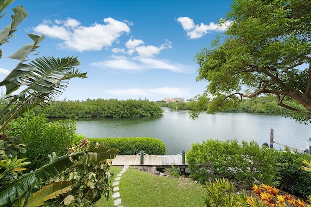 view of water feature