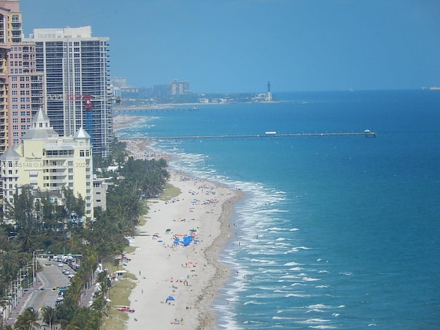 property view of water featuring a view of the beach