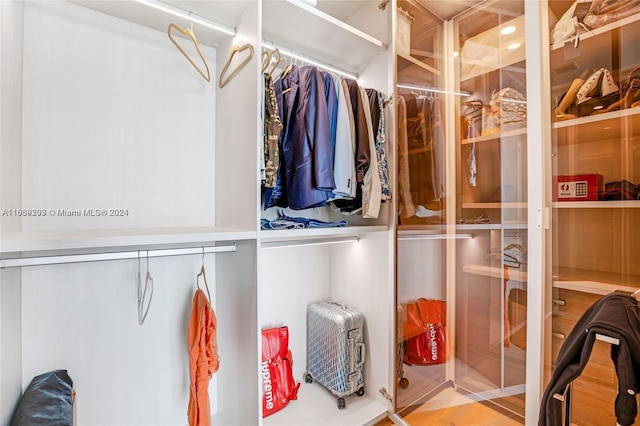 view of spacious closet