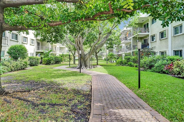 view of community featuring a yard