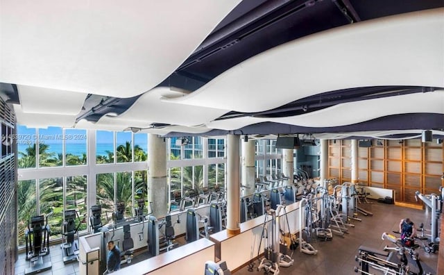 gym featuring expansive windows and a wealth of natural light