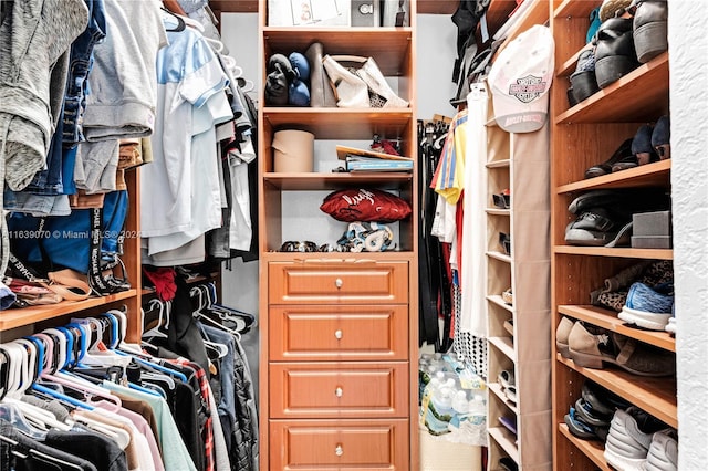 view of spacious closet