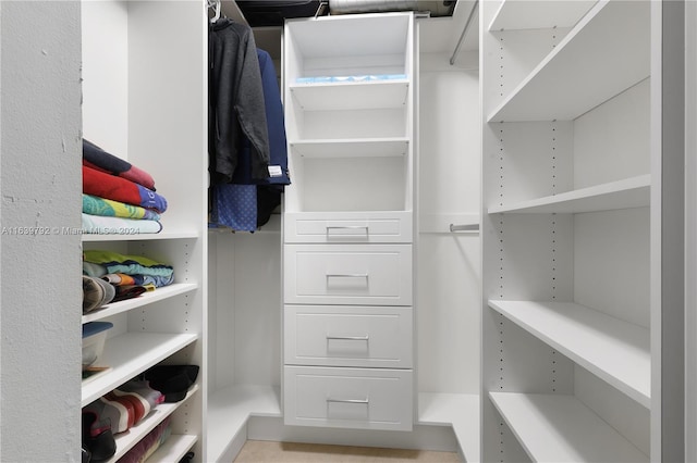 view of walk in closet