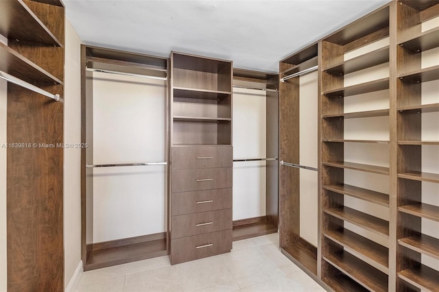 view of spacious closet