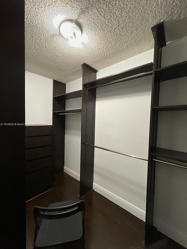 spacious closet with dark hardwood / wood-style floors