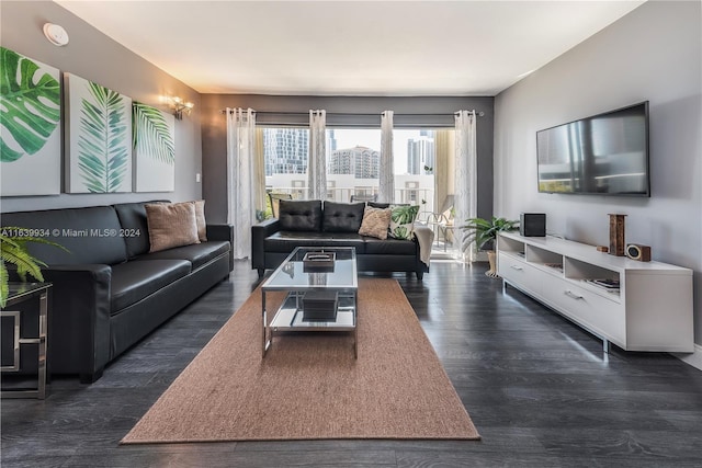 living area with dark wood-style floors