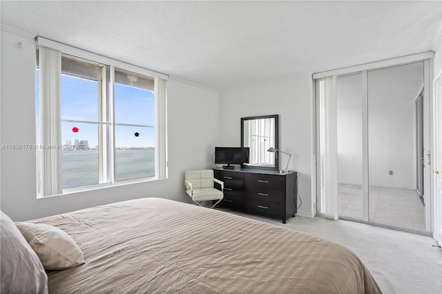 carpeted bedroom with a textured ceiling