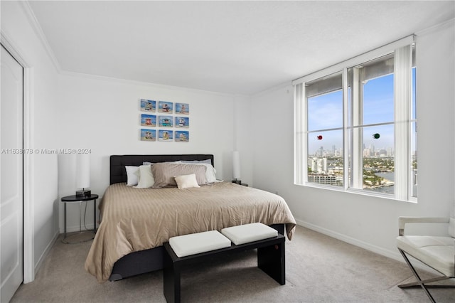 carpeted bedroom with crown molding