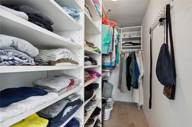 spacious closet with carpet