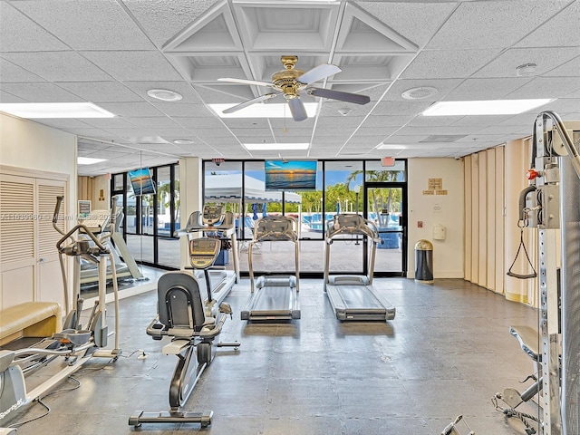 exercise room featuring a drop ceiling, a ceiling fan, and floor to ceiling windows