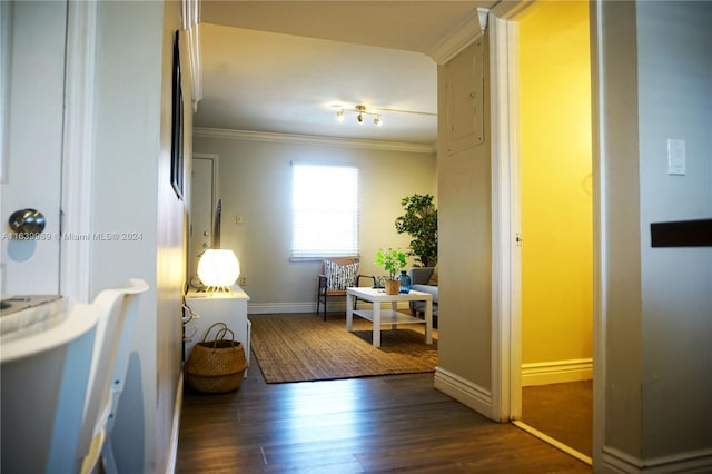 hall with crown molding and dark hardwood / wood-style flooring