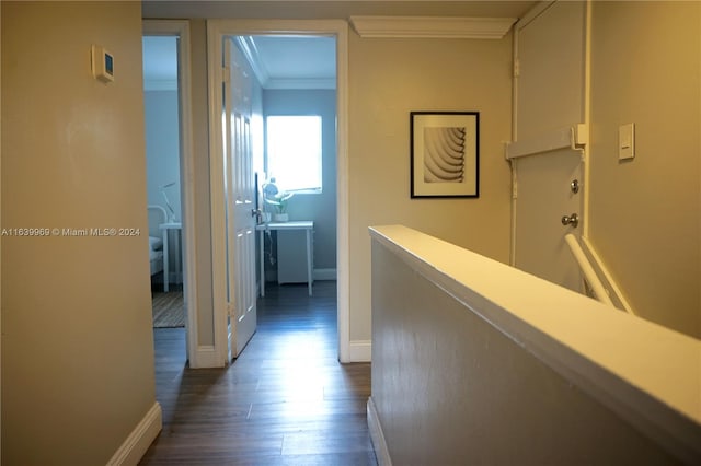 hallway with dark wood-type flooring and crown molding