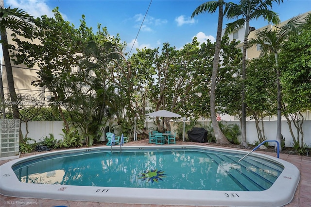 view of swimming pool