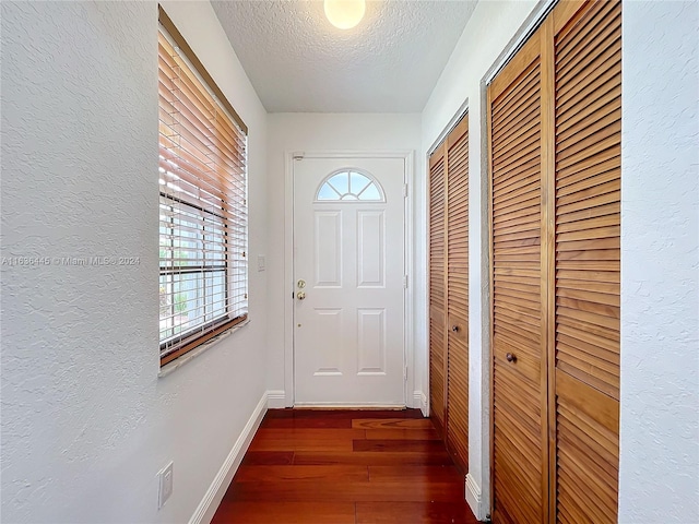 doorway featuring dark wood-type flooring, a textured ceiling, and plenty of natural light