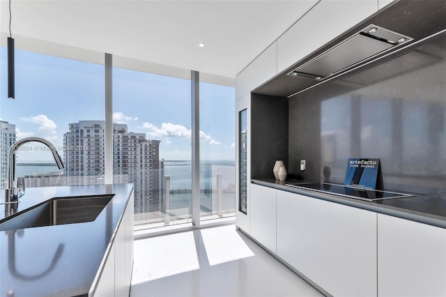 kitchen with a water view, white cabinetry, sink, and a wealth of natural light