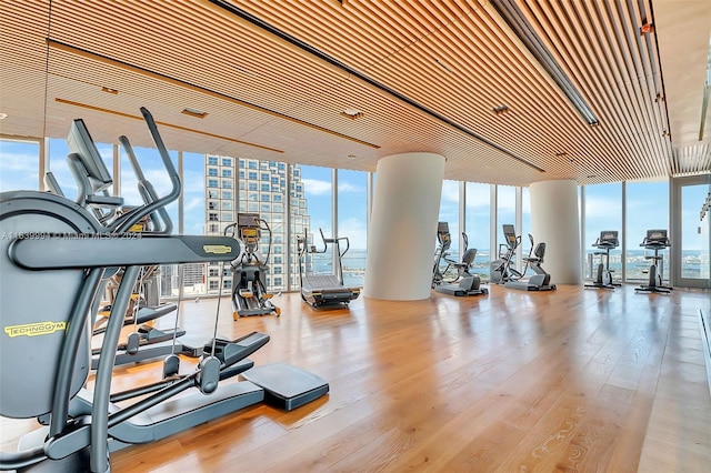 workout area featuring floor to ceiling windows, a healthy amount of sunlight, and light wood-type flooring