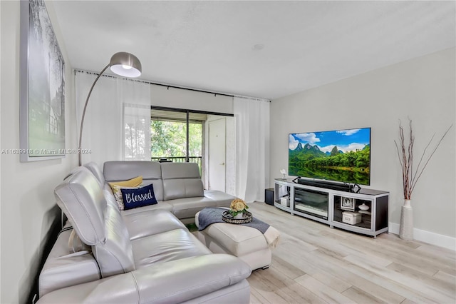 living room featuring light hardwood / wood-style flooring