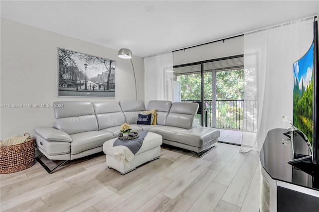 living room with light hardwood / wood-style floors