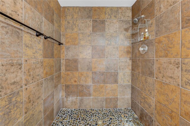 16255 SW 216th St, Miami, FL 33170 - full bath featuring tiled shower