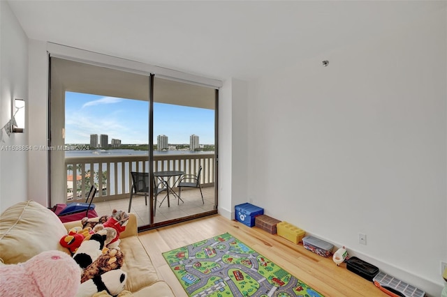 living room with light hardwood / wood-style floors