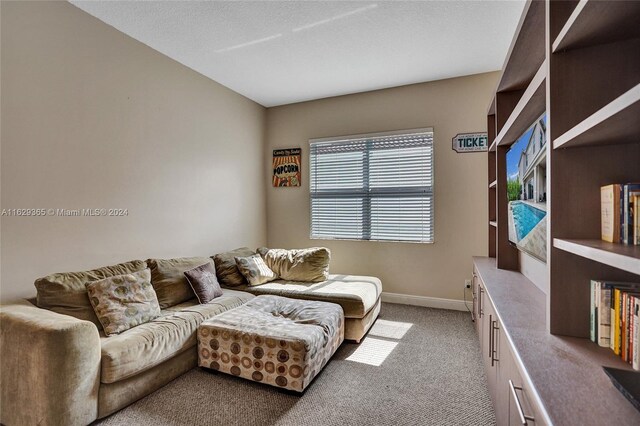 carpeted living room with a textured ceiling