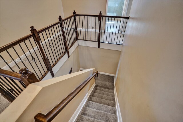 stairway with carpet flooring