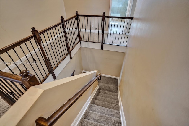 stairs featuring carpet floors