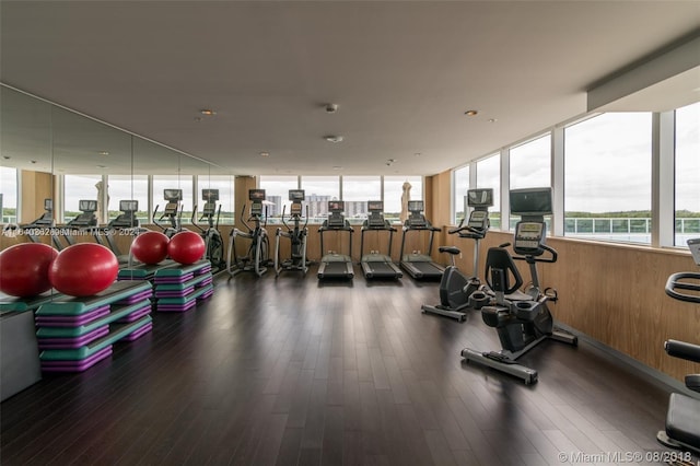 exercise room featuring dark wood-type flooring