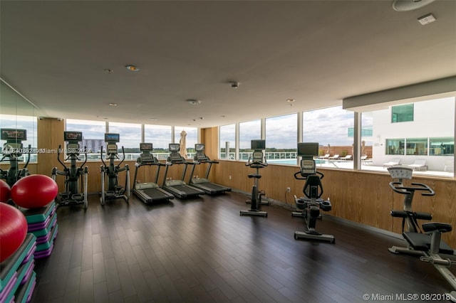 workout area featuring dark wood-type flooring