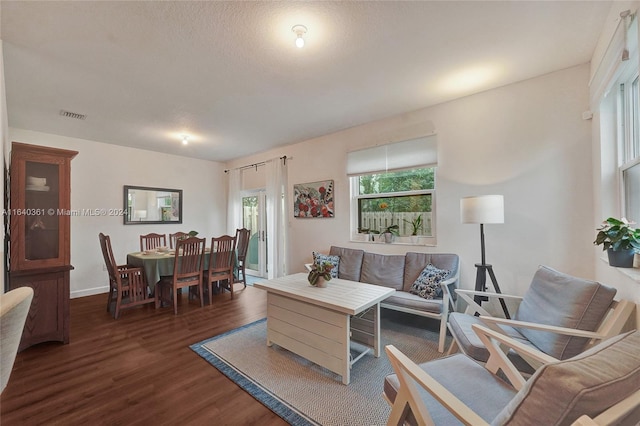 living room featuring dark wood-type flooring