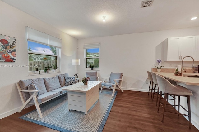 living room featuring dark hardwood / wood-style floors and sink