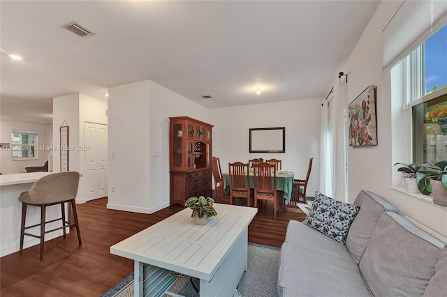 living room with dark hardwood / wood-style flooring