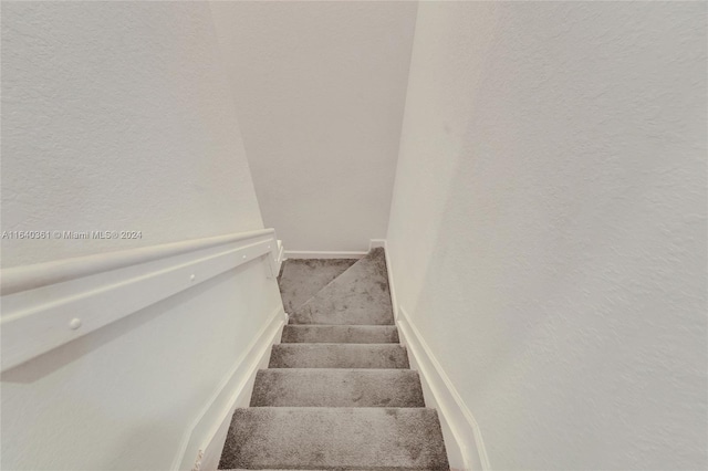 stairs featuring carpet floors