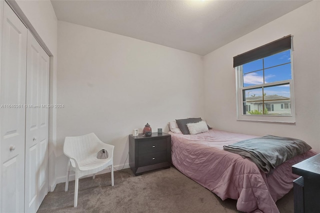 carpeted bedroom featuring a closet