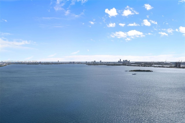 view of water feature