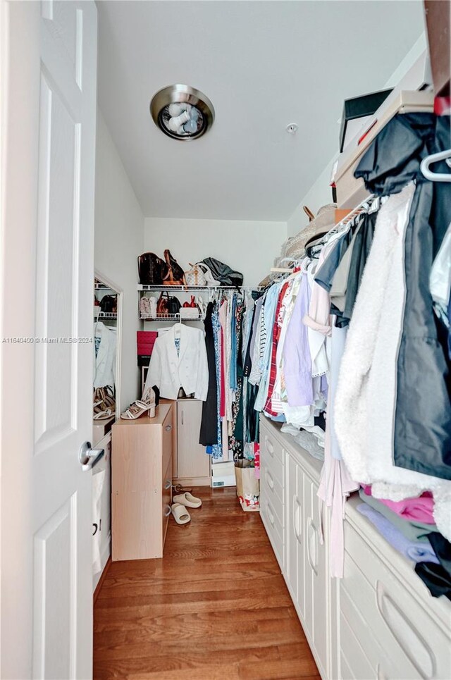 walk in closet with hardwood / wood-style flooring