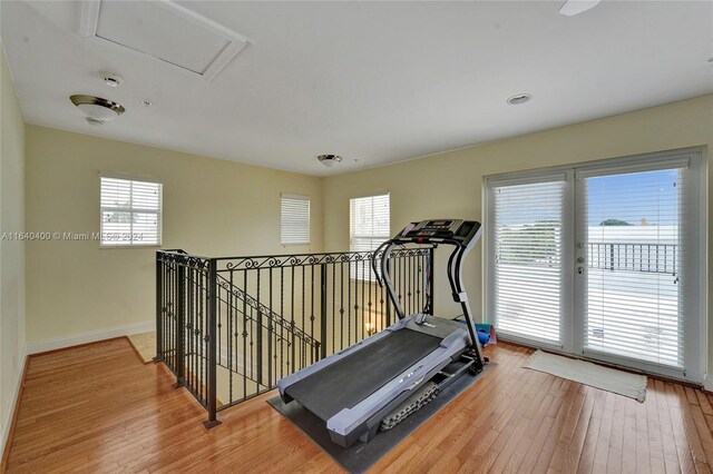 workout area featuring a wealth of natural light and hardwood / wood-style flooring