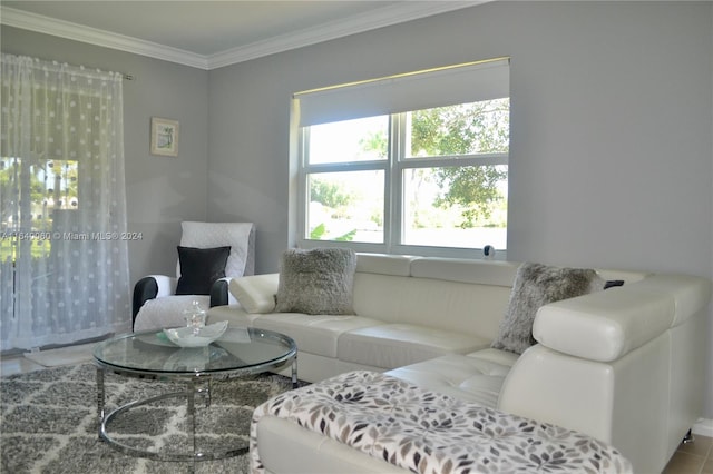 living room with ornamental molding