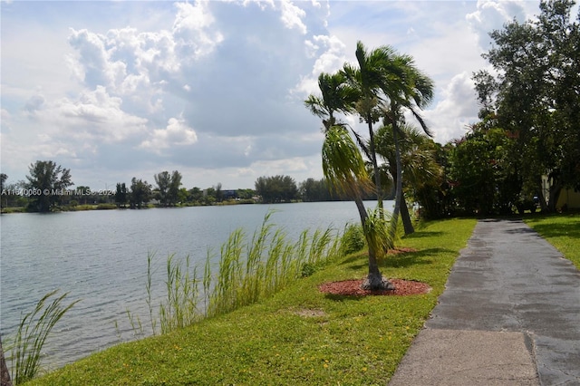 view of water feature