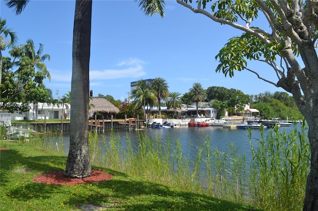 water view featuring a boat dock