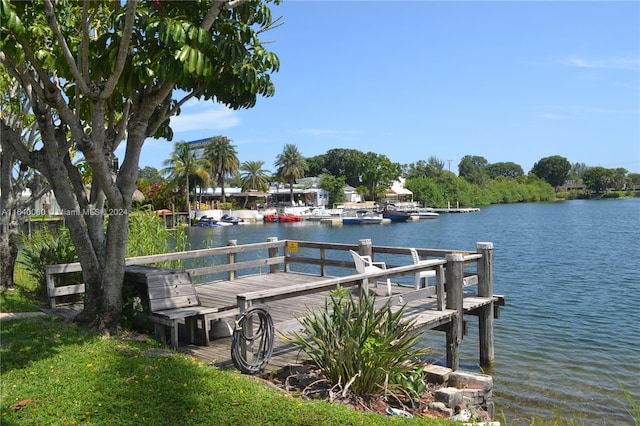 dock area featuring a water view