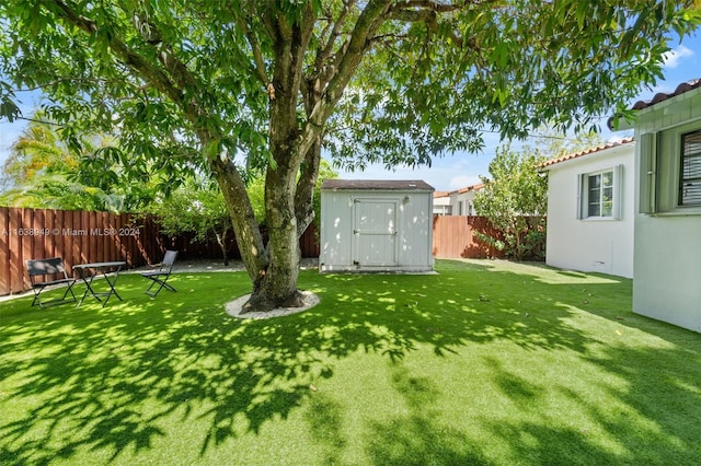 view of yard featuring a shed