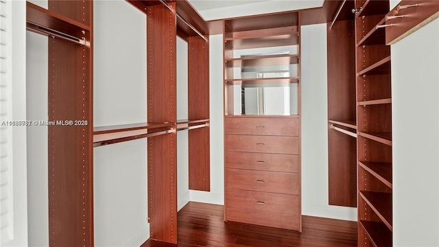 spacious closet with dark wood-type flooring