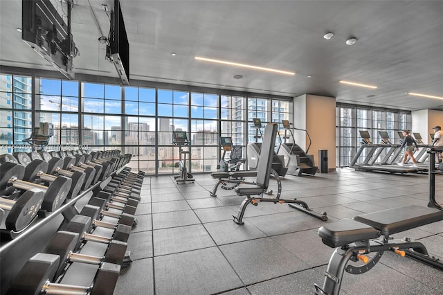 gym featuring a wall of windows