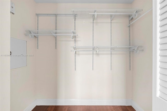 spacious closet featuring hardwood / wood-style flooring