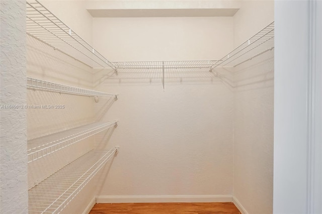 spacious closet featuring wood-type flooring