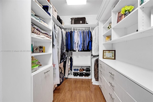 spacious closet featuring wood-type flooring