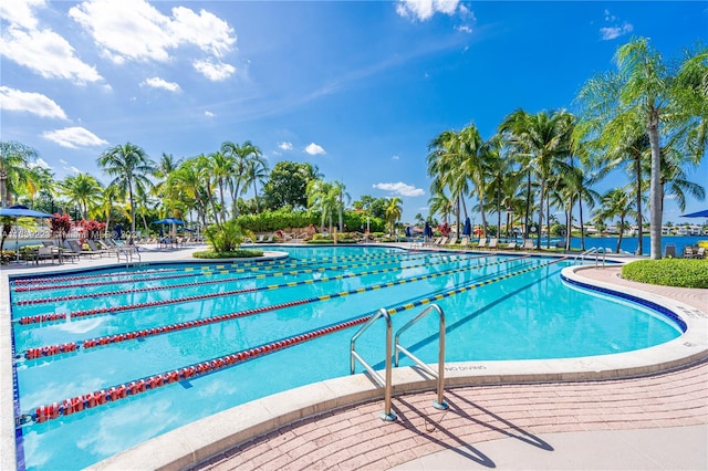 view of pool featuring a patio