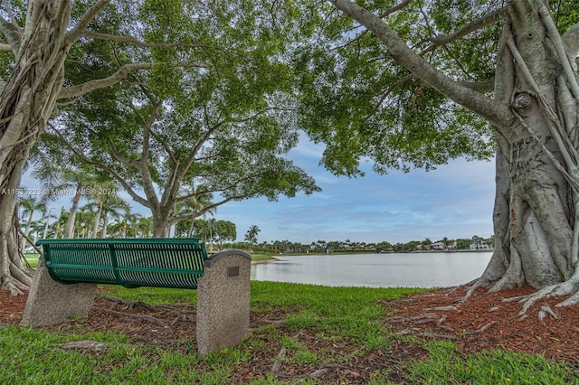 view of water feature