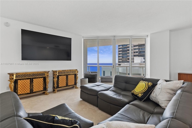 carpeted living room with expansive windows